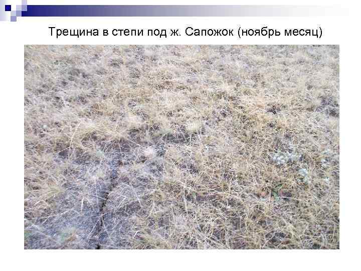 Трещина в степи под ж. Сапожок (ноябрь месяц) 