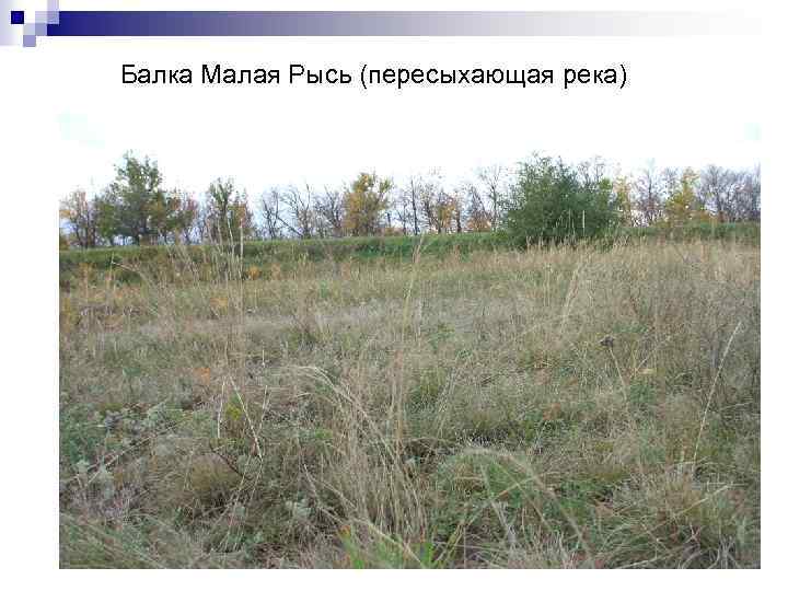 Балка Малая Рысь (пересыхающая река) 