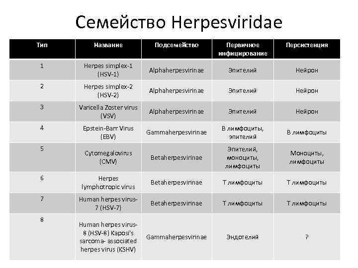 Семейство Herpesviridae Тип Название Подсемейство Первичное инфицирование Персистенция 1 Herpes simplex-1 (HSV-1) Alphaherpesvirinae Эпителий