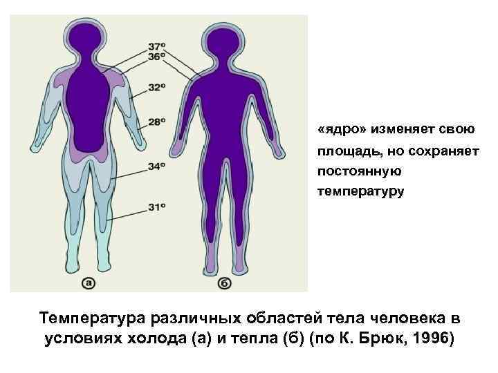 Разная температура