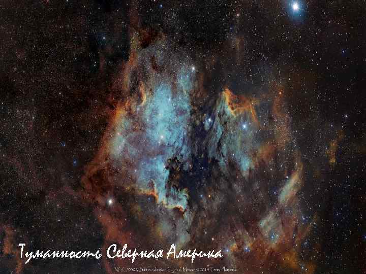  Туманность Северная Америка 