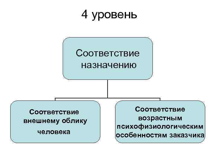 4 уровень Соответствие назначению Соответствие внешнему облику человека Соответствие возрастным психофизиологическим особенностям заказчика 