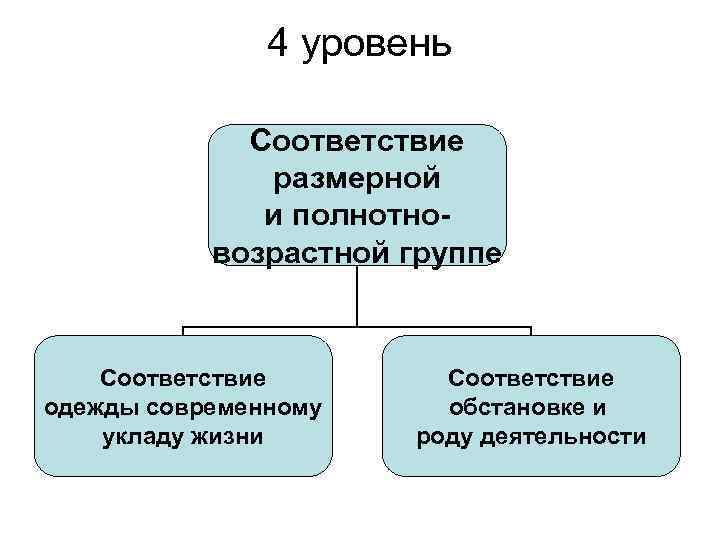 4 уровень Соответствие размерной и полнотновозрастной группе Соответствие одежды современному укладу жизни Соответствие обстановке