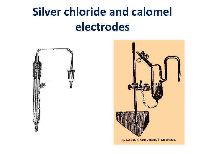 Silver chloride and calomel electrodes 