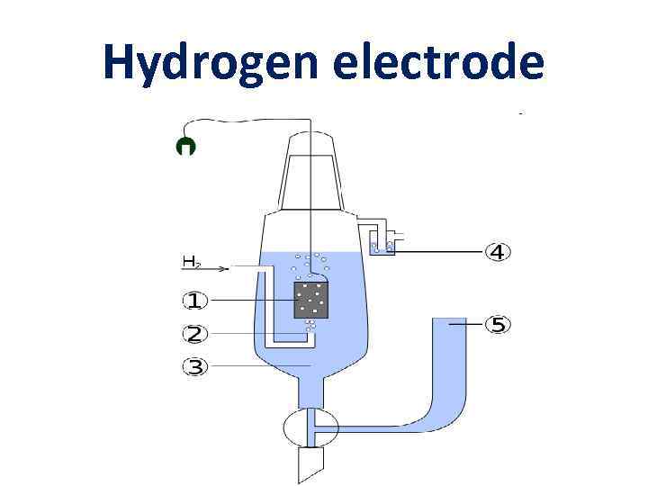 Hydrogen electrode 