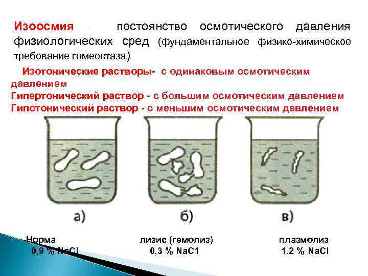 Изоосмия постоянство осмотического давления физиологических сред (фундаментальное физико-химическое требование гомеостаза) Изотонические растворы- с одинаковым