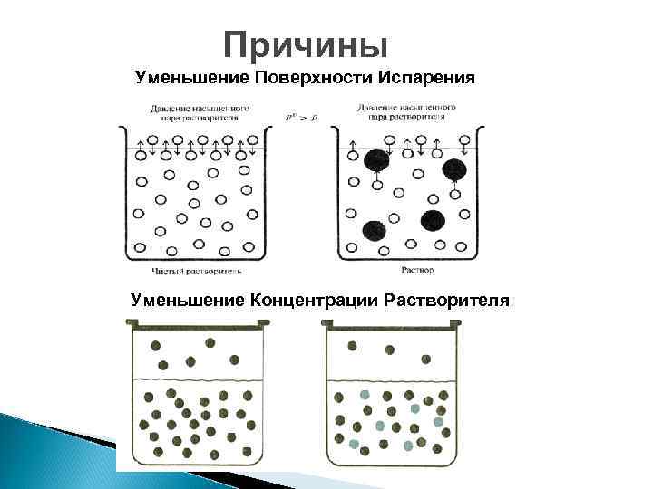 Причины Уменьшение Поверхности Испарения Уменьшение Концентрации Растворителя: 