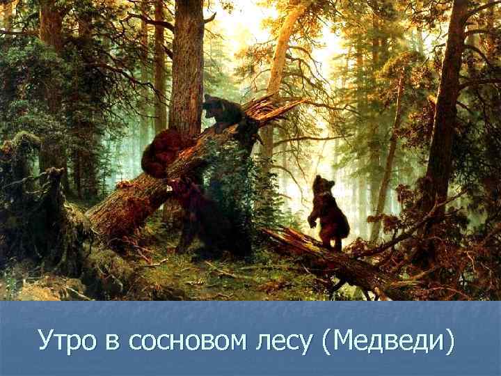 Утро в сосновом лесу (Медведи) 