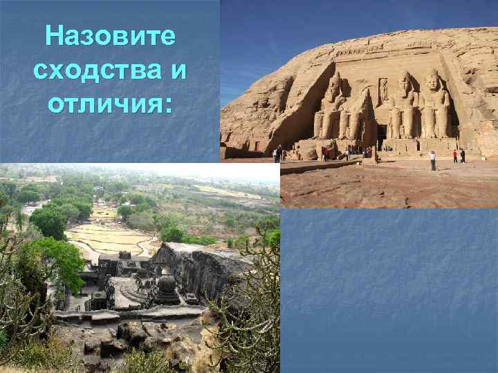 Назовите сходства и отличия: 