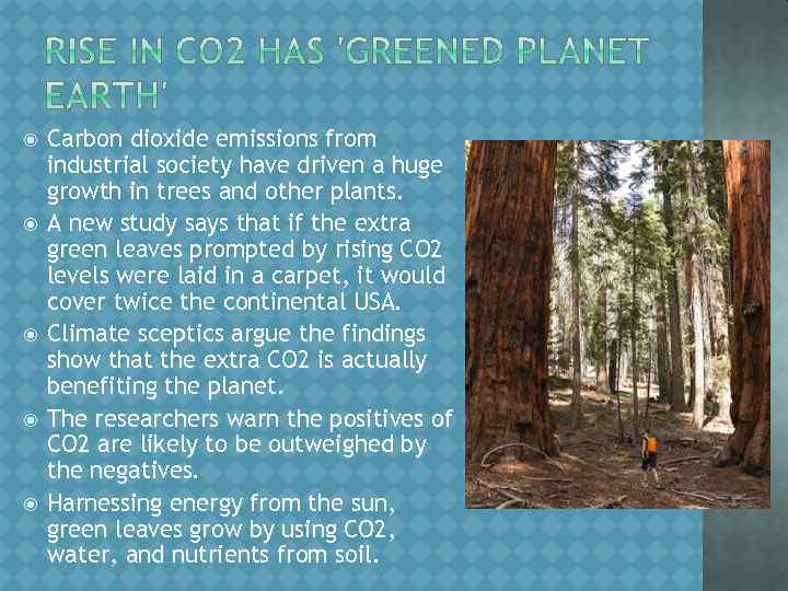  Carbon dioxide emissions from industrial society have driven a huge growth in trees