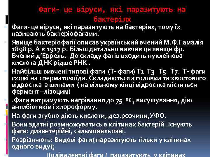 Фаги- це віруси, які паразитують на бактеріях Фаги- це віруси, які паразитують на бактеріях,