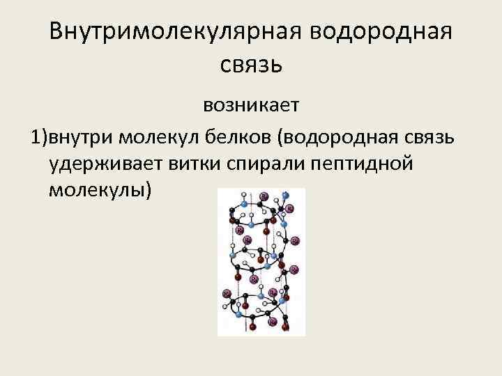 Внутримолекулярная водородная связь возникает 1)внутри молекул белков (водородная связь удерживает витки спирали пептидной молекулы)