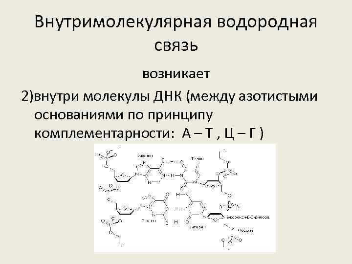 Внутримолекулярная водородная связь возникает 2)внутри молекулы ДНК (между азотистыми основаниями по принципу комплементарности: А