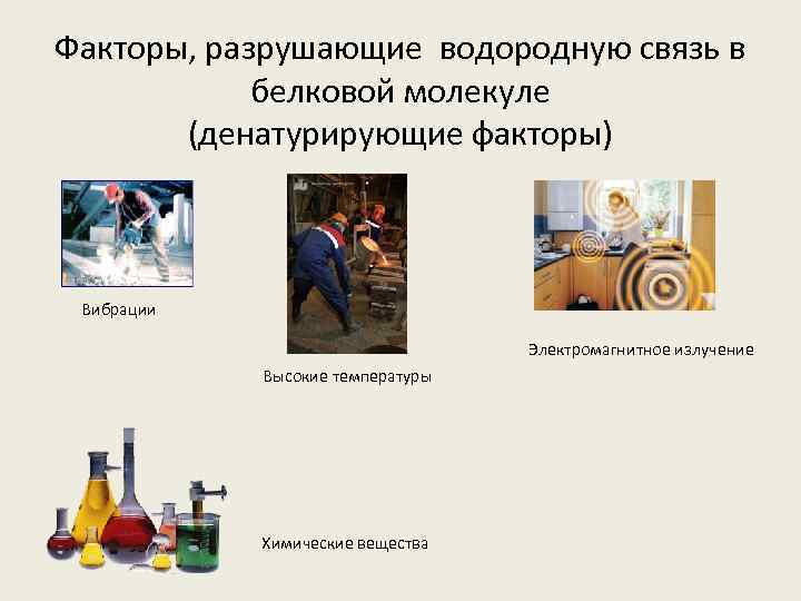 Факторы, разрушающие водородную связь в белковой молекуле (денатурирующие факторы) Вибрации Электромагнитное излучение Высокие температуры