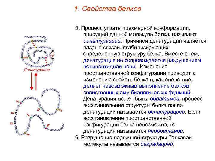 1. Свойства белков 5. Процесс утраты трехмерной конформации, присущей данной молекуле белка, называют денатурацией.