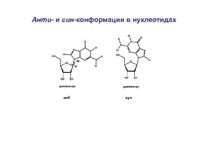 Анти- и син-конформации в нуклеотидах anti syn 