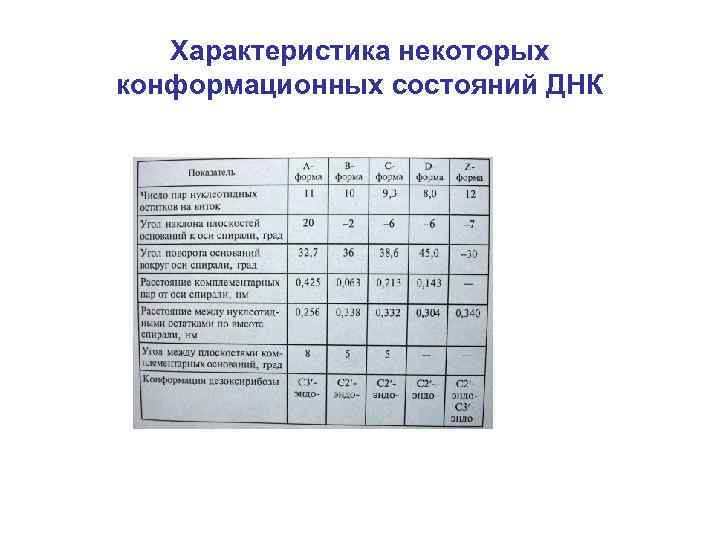 Характеристика некоторых конформационных состояний ДНК 