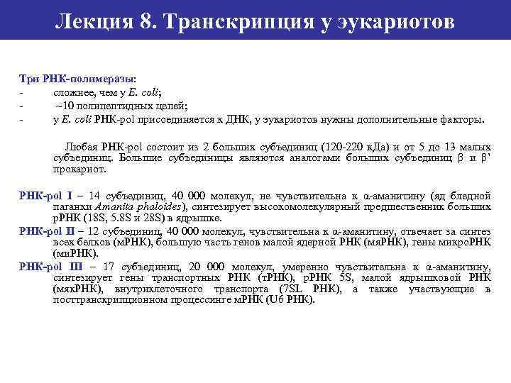 Лекция 8. Транскрипция у эукариотов Три РНК-полимеразы: сложнее, чем у E. coli; ~10 полипептидных