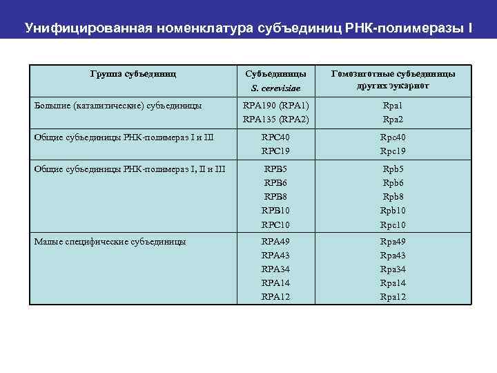 Унифицированная номенклатура субъединиц РНК-полимеразы I Группа субъединиц Субъединицы S. cerevisiae Гомозиготные субъединицы других эукариот