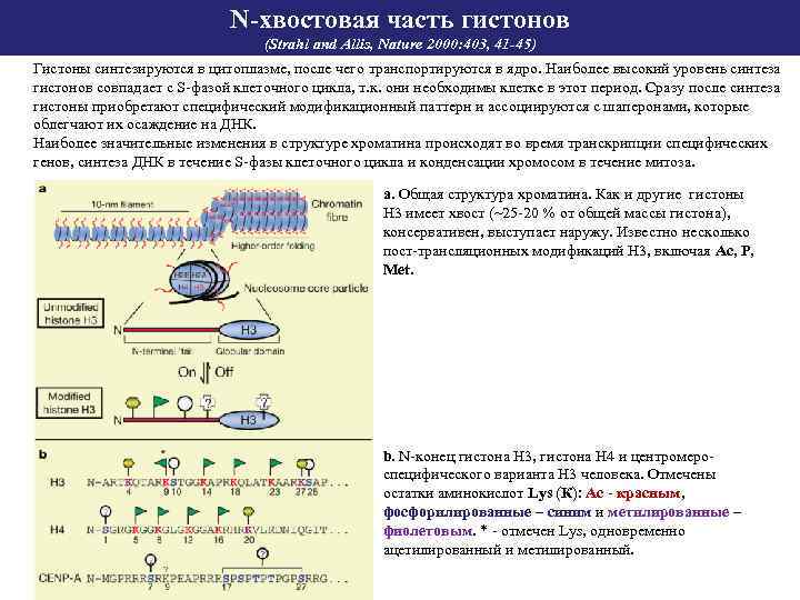 Уровень синтеза