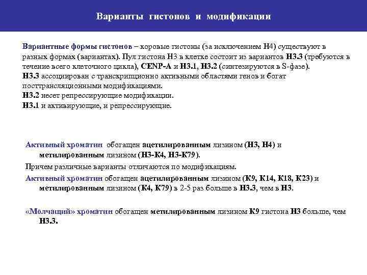 Варианты гистонов и модификации Вариантные формы гистонов – коровые гистоны (за исключением Н 4)