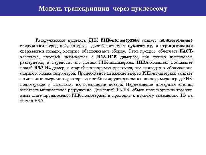 Модель транскрипции через нуклеосому Раскручивание дуплекса ДНК РНК-полимеразой создает положительные сверхвитки перед ней, которые