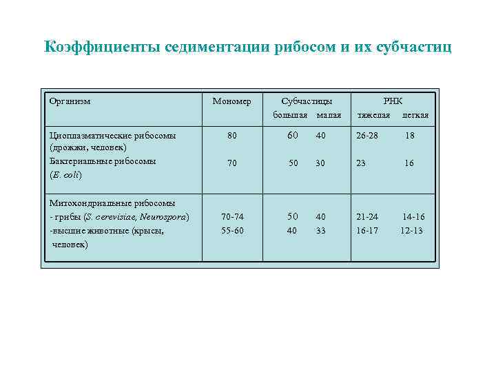 Коэффициенты седиментации рибосом и их субчастиц Организм Циоплазматические рибосомы (дрожжи, человек) Бактериальные рибосомы (E.