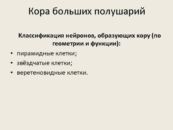 Кора больших полушарий Классификация нейронов, образующих кору (по геометрии и функции): • пирамидные клетки;