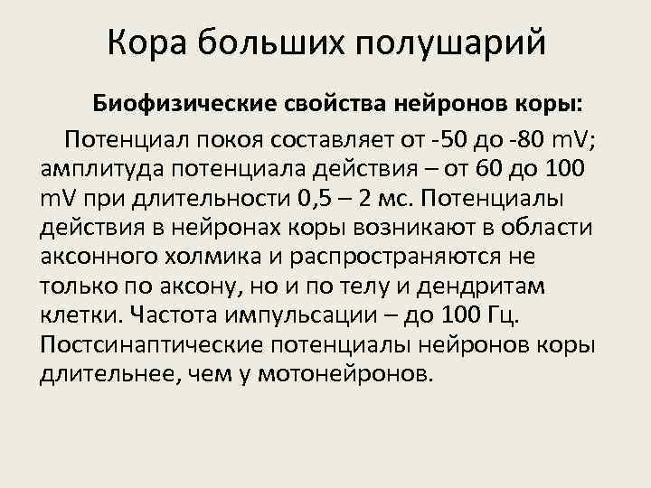 Кора больших полушарий Биофизические свойства нейронов коры: Потенциал покоя составляет от -50 до -80