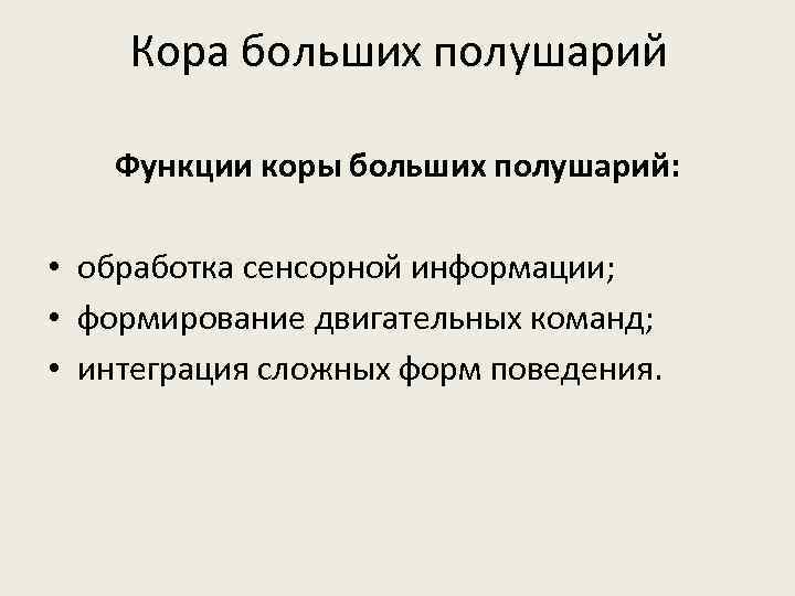 Кора больших полушарий Функции коры больших полушарий: • обработка сенсорной информации; • формирование двигательных