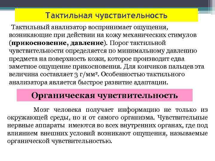 Тактильная чувствительность Тактильный анализатор воспринимает ощущения, возникающие при действии на кожу механических стимулов (прикосновение,