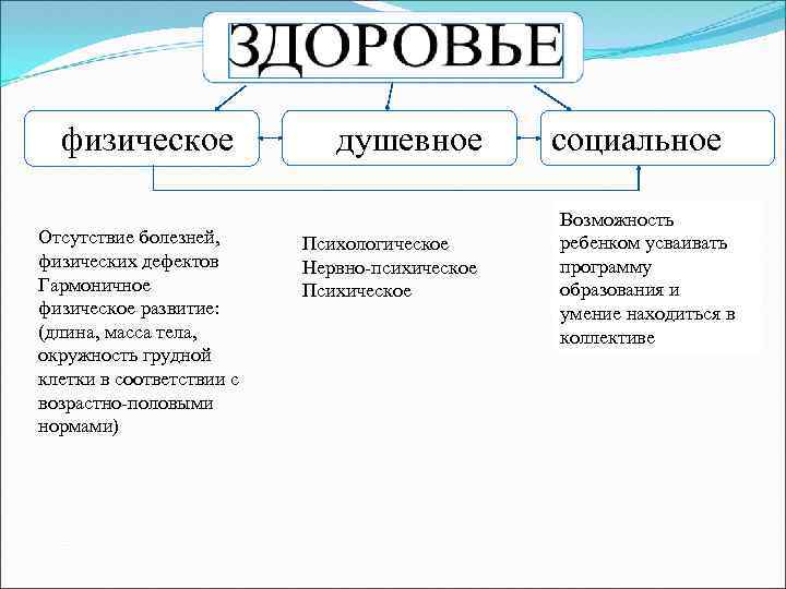 физическое Отсутствие болезней, физических дефектов Гармоничное физическое развитие: (длина, масса тела, окружность грудной клетки