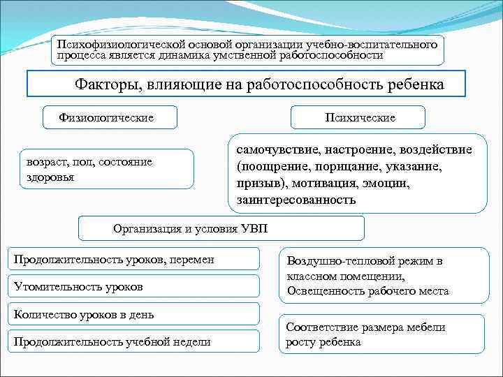 Психофизиологической основой организации учебно-воспитательного процесса является динамика умственной работоспособности Факторы, влияющие на работоспособность ребенка