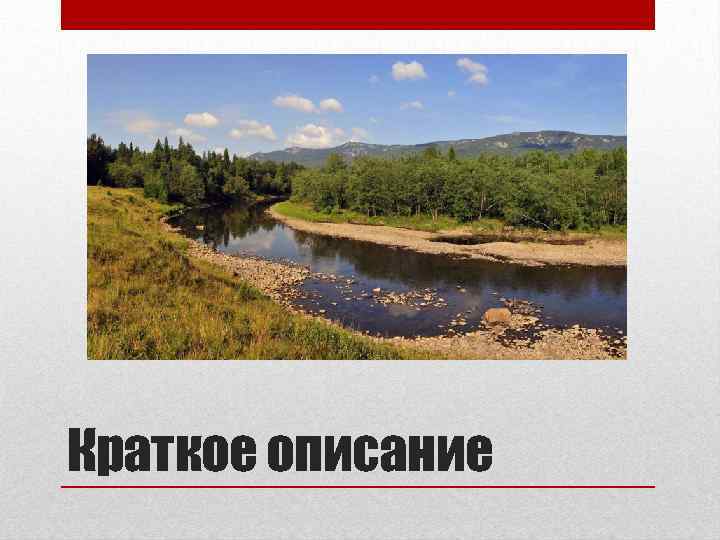 Краткое описание 