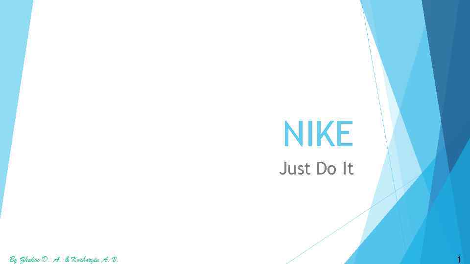 NIKE Just Do It By Zhukov D. A. & Kochergin A. V. 1 