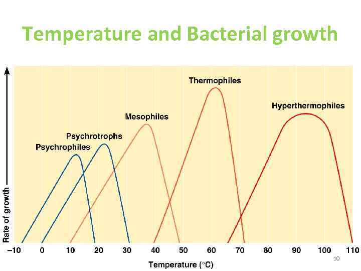 Temperature and Bacterial growth 10 