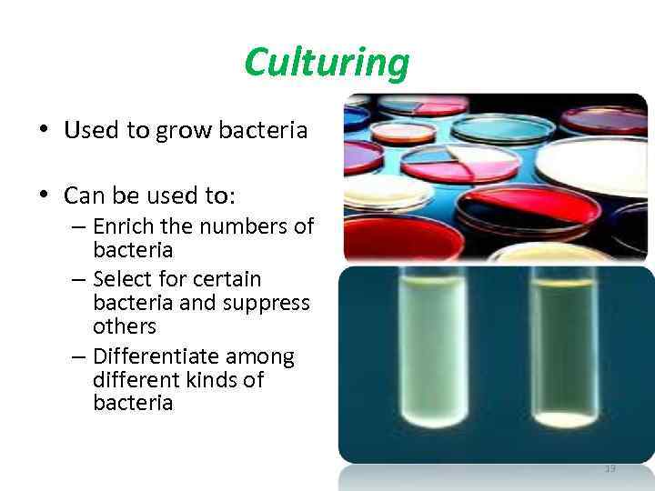 Culturing • Used to grow bacteria • Can be used to: – Enrich the
