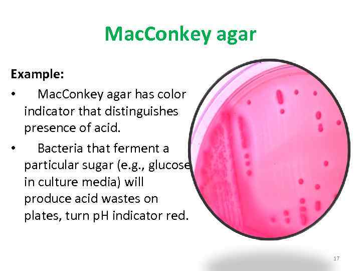 Mac. Conkey agar Example: • Mac. Conkey agar has color indicator that distinguishes presence
