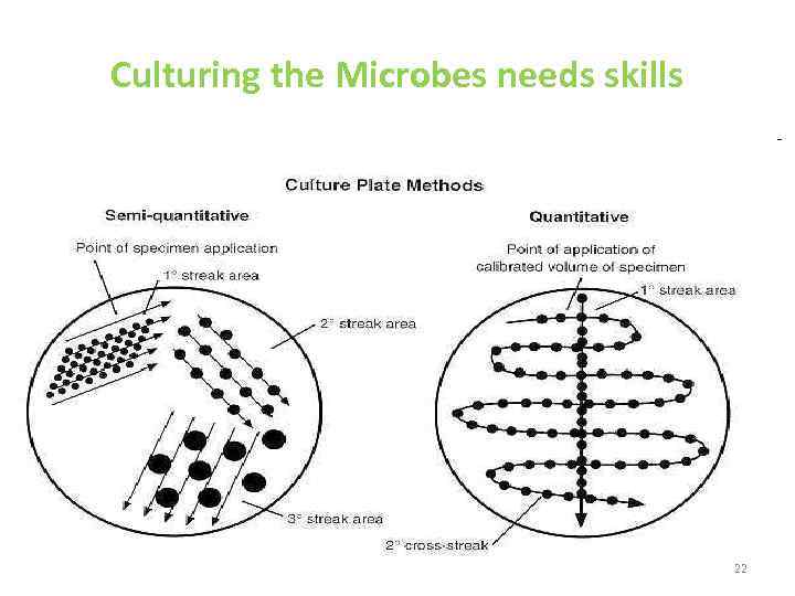 Culturing the Microbes needs skills 22 
