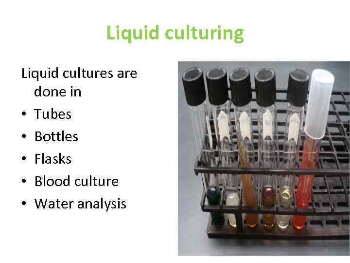 Liquid culturing Liquid cultures are done in • Tubes • Bottles • Flasks •