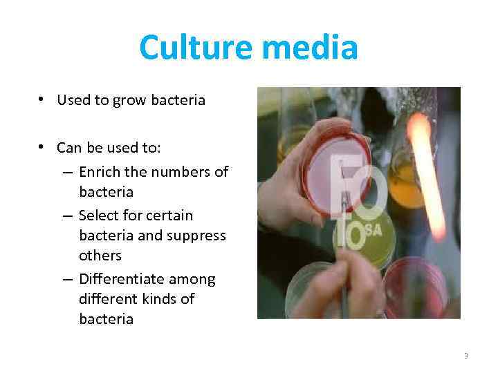 Culture media • Used to grow bacteria • Can be used to: – Enrich