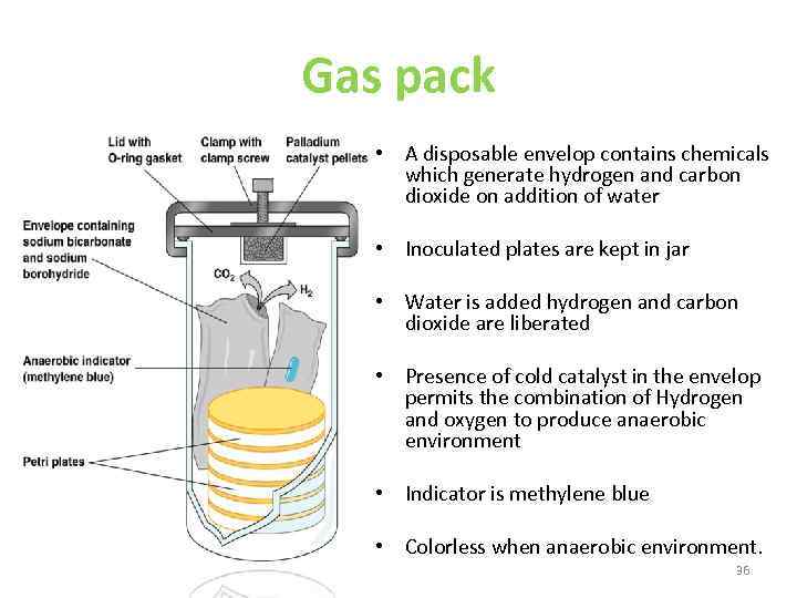 Gas pack • A disposable envelop contains chemicals which generate hydrogen and carbon dioxide