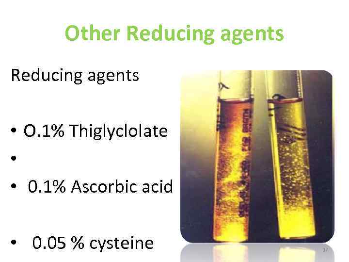 Other Reducing agents • O. 1% Thiglyclolate • • 0. 1% Ascorbic acid •