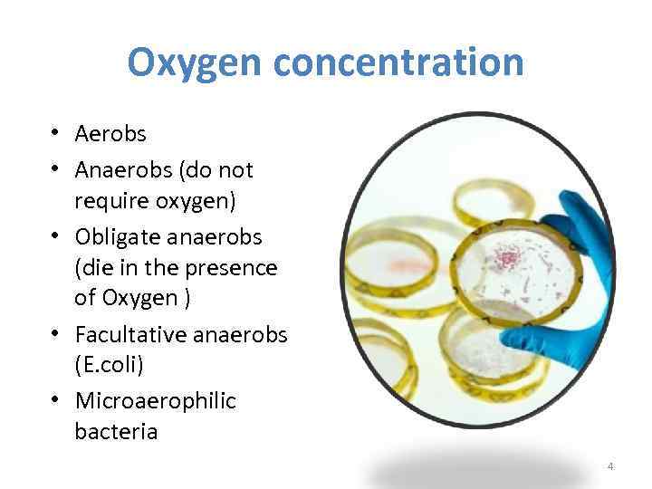 Oxygen concentration • Aerobs • Anaerobs (do not require oxygen) • Obligate anaerobs (die