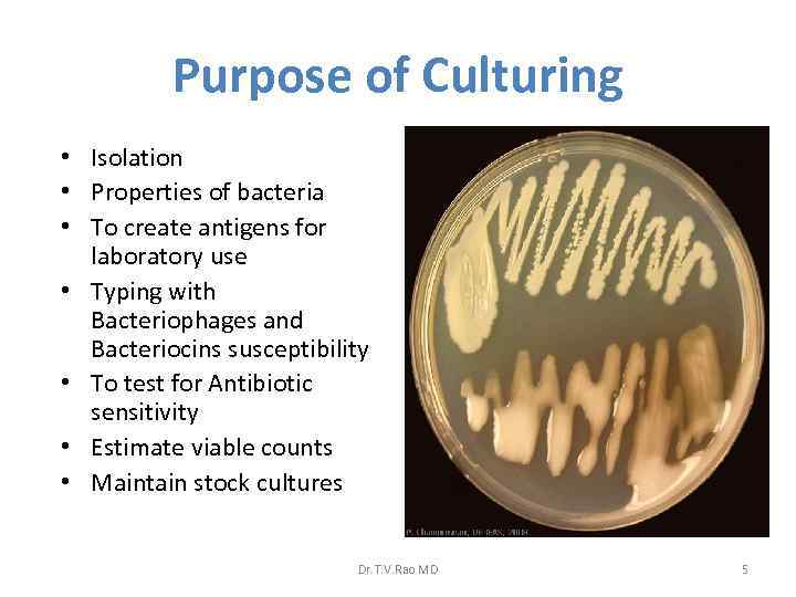 Purpose of Culturing • Isolation • Properties of bacteria • To create antigens for