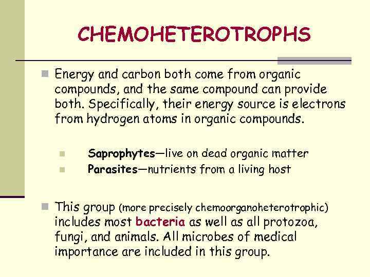 CHEMOHETEROTROPHS n Energy and carbon both come from organic compounds, and the same compound