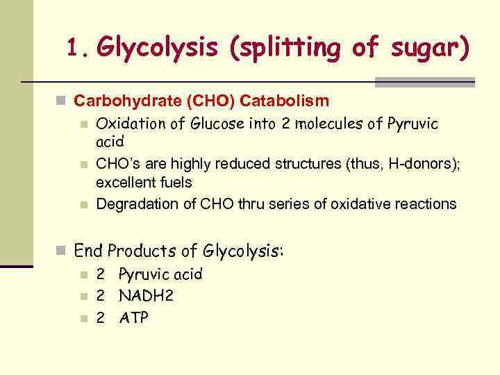 1. Glycolysis (splitting of sugar) n Carbohydrate (CHO) Catabolism n Oxidation of Glucose into