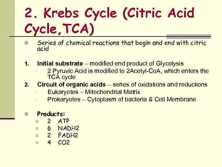 2. Krebs Cycle (Citric Acid Cycle, TCA) n Series of chemical reactions that begin