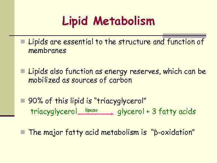 Lipid Metabolism n Lipids are essential to the structure and function of membranes n