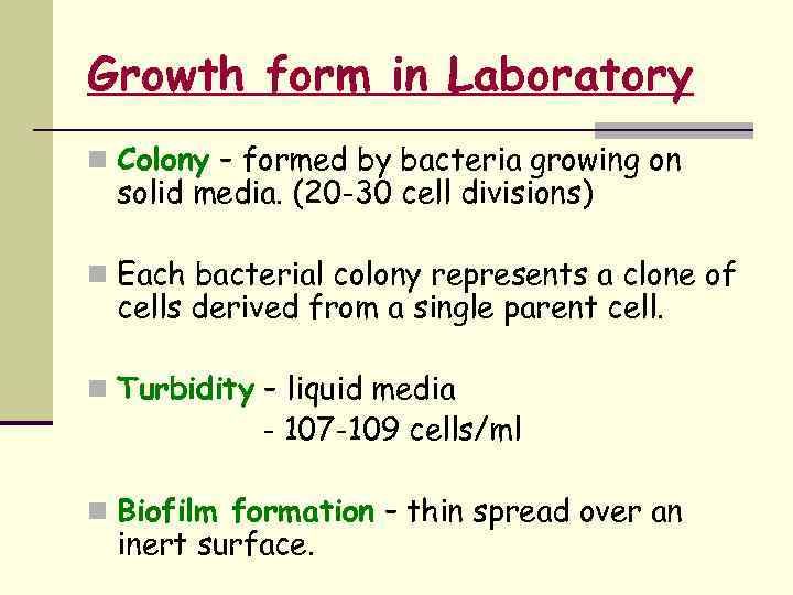 Growth form in Laboratory n Colony – formed by bacteria growing on solid media.